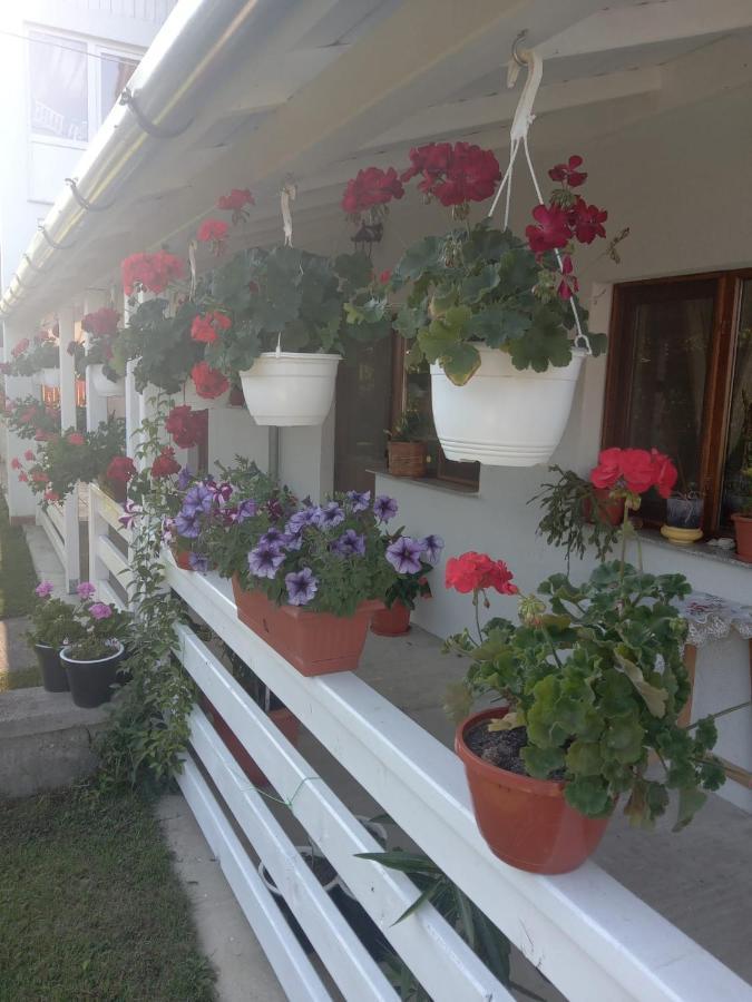 Cazare Turism Prislop Hotel ฮาเซก ภายนอก รูปภาพ