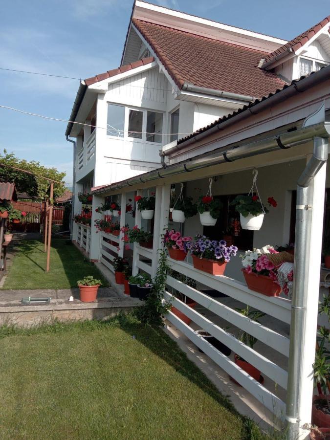 Cazare Turism Prislop Hotel ฮาเซก ภายนอก รูปภาพ